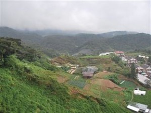 View from Master bed room balcony