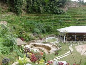 Waterfall Garden