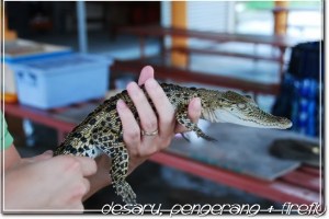 crocodile world in johor