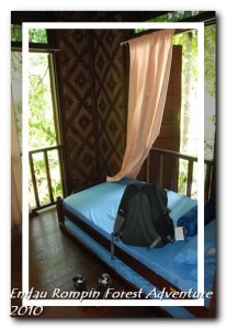 endau rompin national park chalet room