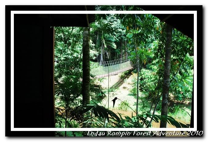 endau rompin national park chalet surrounding view