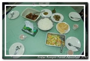 endau rompin national park dinner