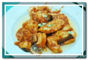 endau rompin national park dinner with dorman fish