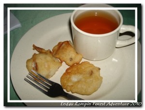 endau rompin national park drink and snack