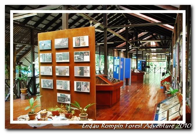 endau rompin national park gallery