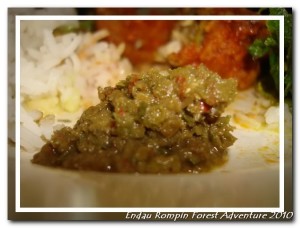 endau rompin national park lunch home made chilli