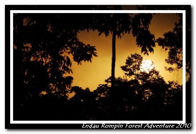 endau rompin national park sunrise