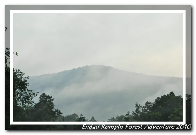 endau rompin national park sunrise