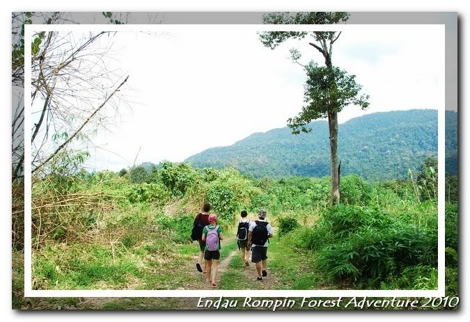 endau rompin national park surrounding