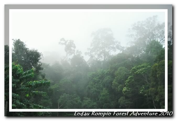 endau rompin national park