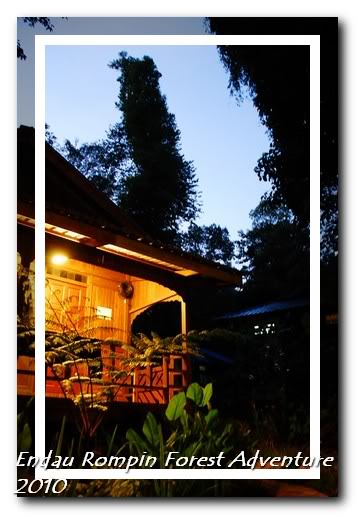 morning scene in endau rompin national park