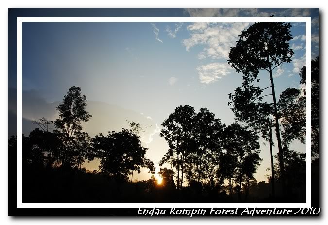 morning scene in endau rompin national park