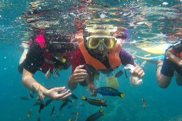 Tioman Sun Beach Resort Package