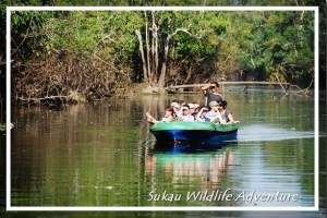 sukau adventure tour