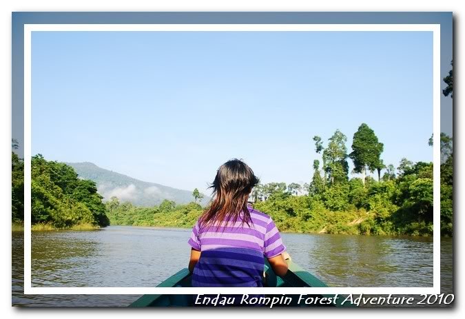 tour guide to endau rompin national park