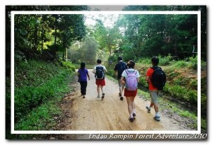 walk into endau rompin national park