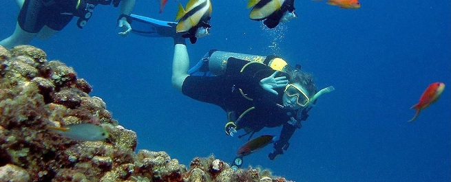 Pulau Gaya diving course