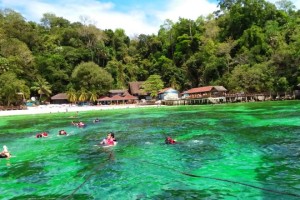 Pulau Payar Marine Park snorkeling