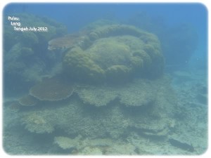 2nd Snorkeling 3