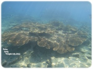 Snorkeling 7