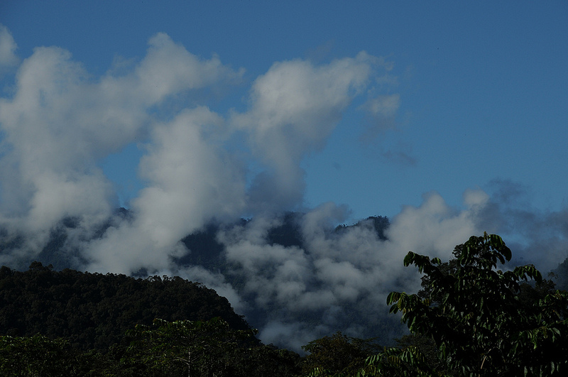 Mount Mulu