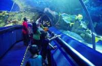 Aquaria KLCC