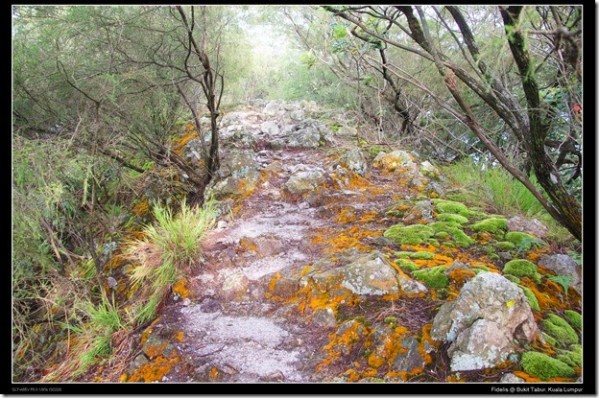 Bukit tabur hiking trail