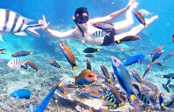 Snorkeling in Redang