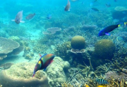 Tioman Paya Beach Resort Package