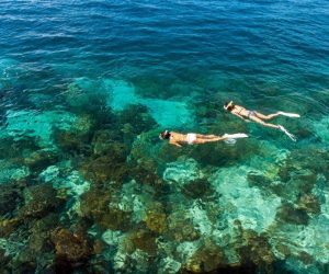 Mabul Beach Resort Mabul & Kapalai Snorkeling Tour