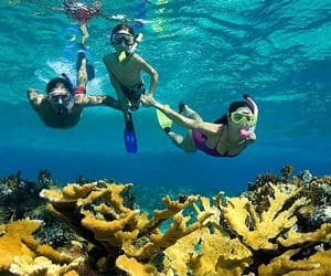 Mabul Beach Resort Mabul & Kapalai Snorkeling Tour