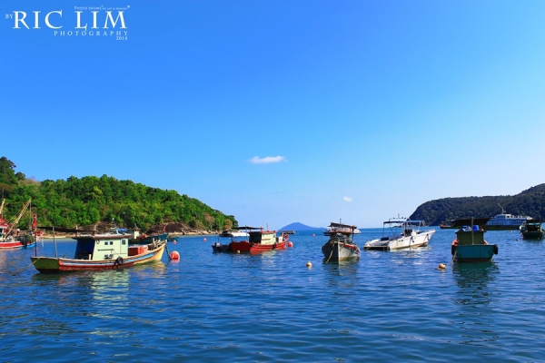 Boats in Shahbandar Jetty