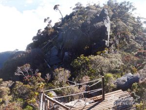 Kinabalu Mountain View