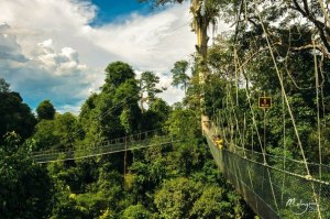 Kuala Koh National Park