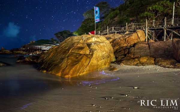 Redang Blue Sand scene