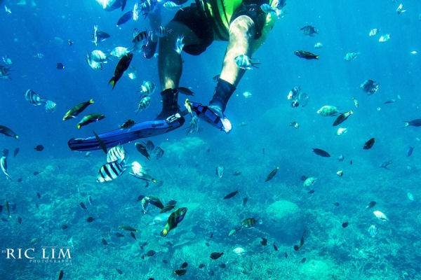 Snorkeling in Redang Coral Garden