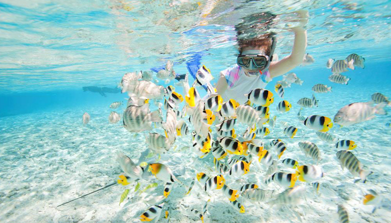 Redang Laguna Resort Snorkeling