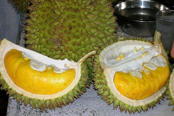 Penang Durian Fair