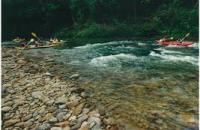 Endau-Rompin National Park