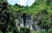 Gomantong Cave , Sandakan 