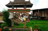 Gombizau Honey Bee Farm , Kudat 