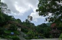 Gunung lambak Recreational Forest