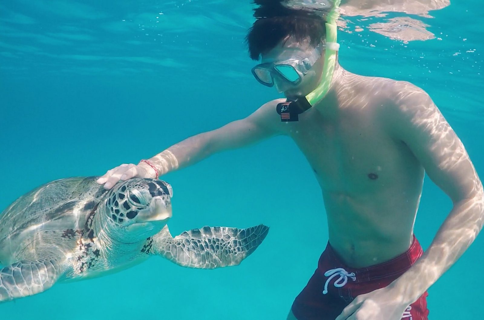 Redang Holiday Beach Resort Snorkeling