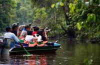 Kinabatangan River , Sandakan 