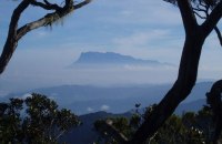 Mount Trus Madi , Tambunan 