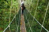 Penang National Park