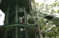 Rainforest Discovery Centre (RDC) , Sandakan 