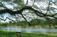 Taiping Lake Garden