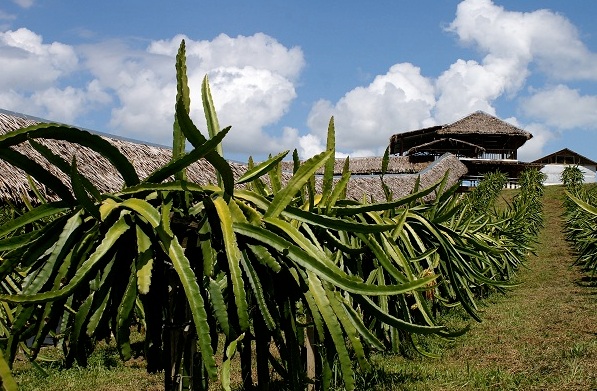 Zenxin Organic Park