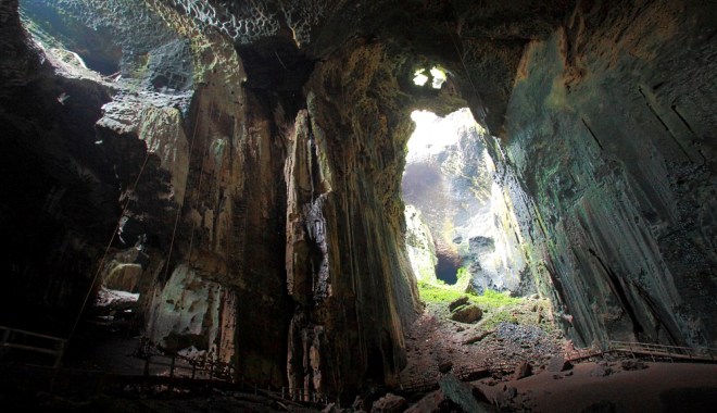 Gomantong Cave